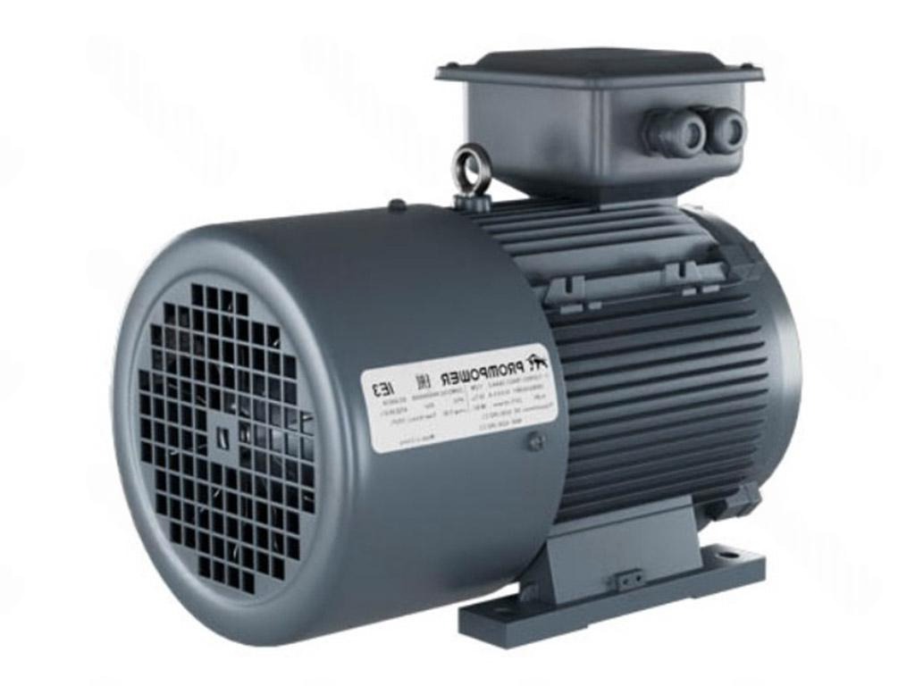 Электродвигатель 1LE9303-1DC23-3AA4 PROMPOWER